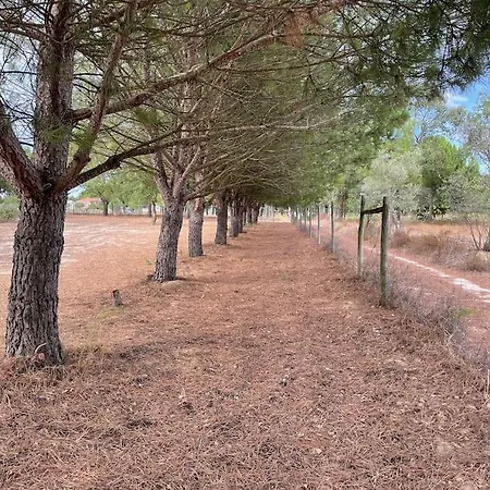 וילה Monte Velho - *