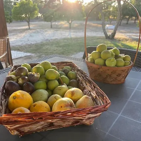 Monte Velho -